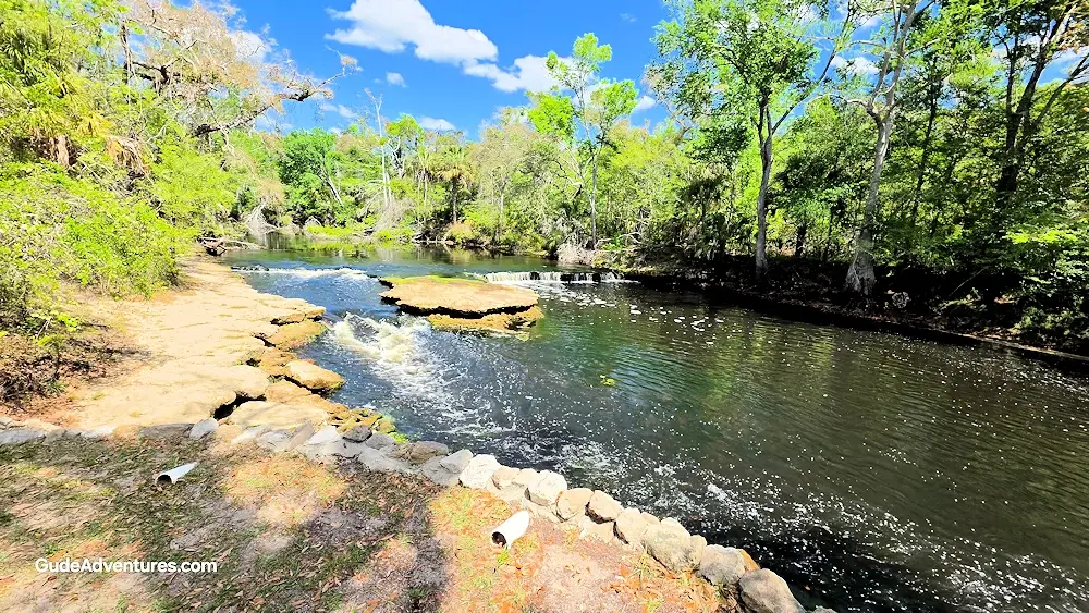Steinhatchee Falls on the Steinhatchee River.