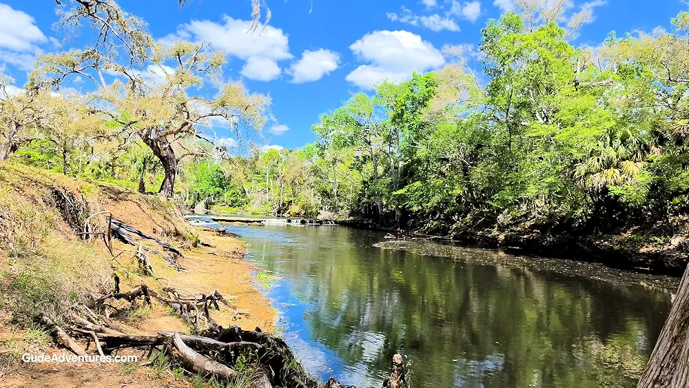 Steinhatchee Falls on the Steinhatchee River.