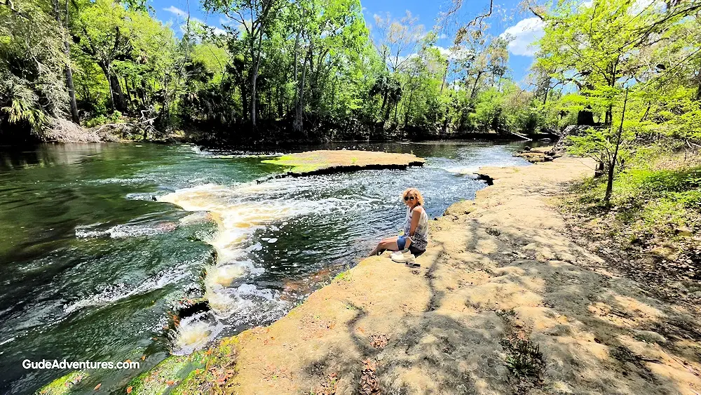 Along the river above the Steinhatchee Falls.
