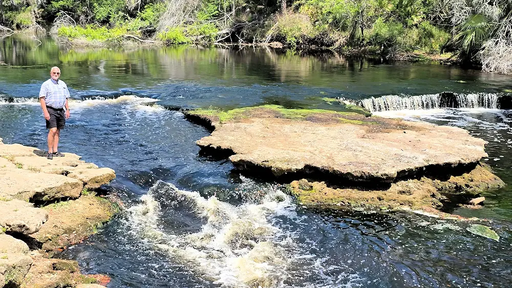 Steinhatchee Falls.