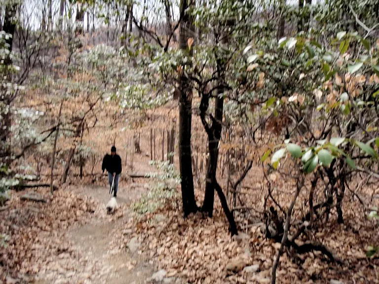The trail to White Rocks
