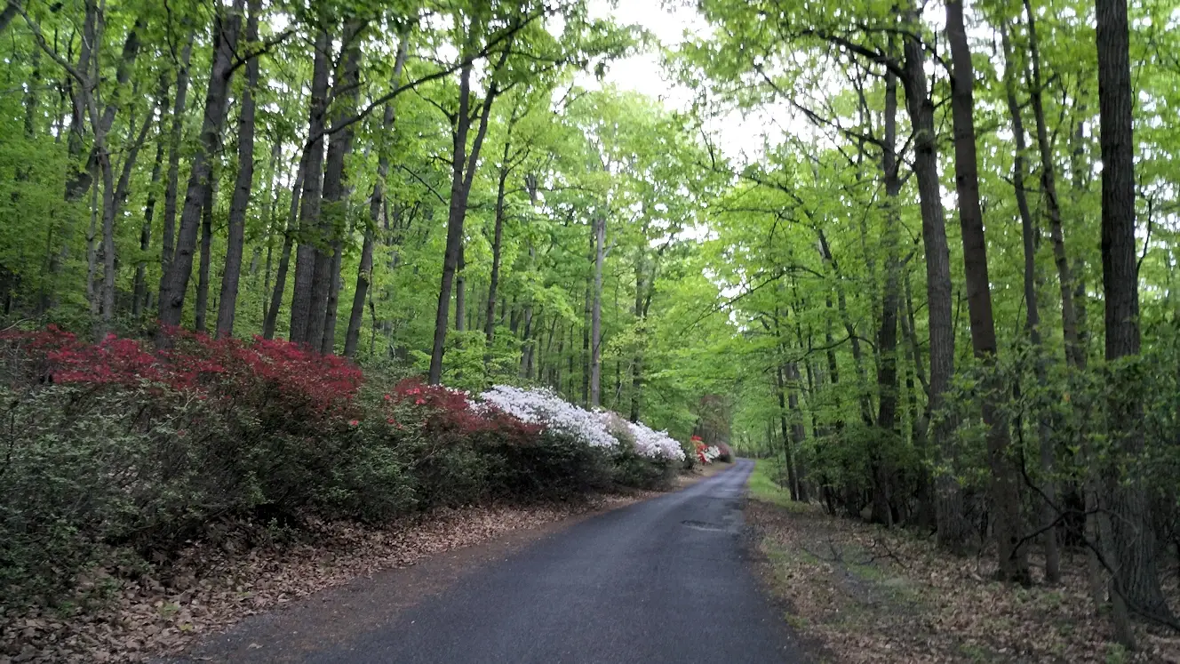 Sugarloaf Mountain in the Spring