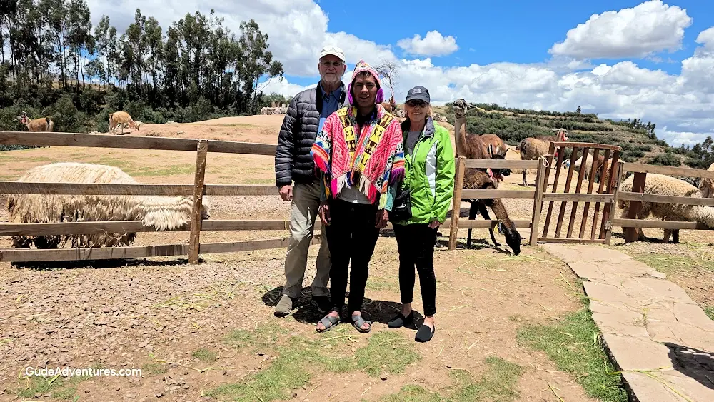 Viewing the different types of South American camels