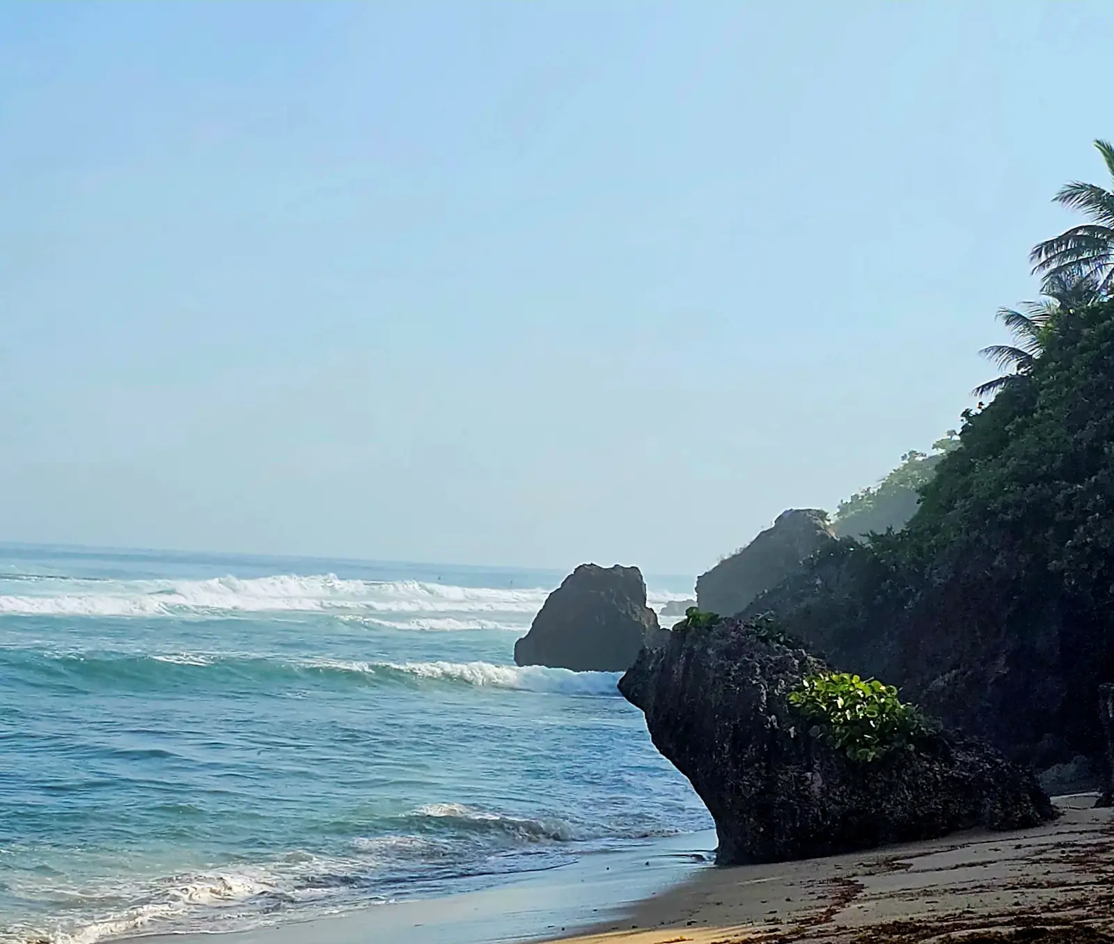 Survival Beach cliffs