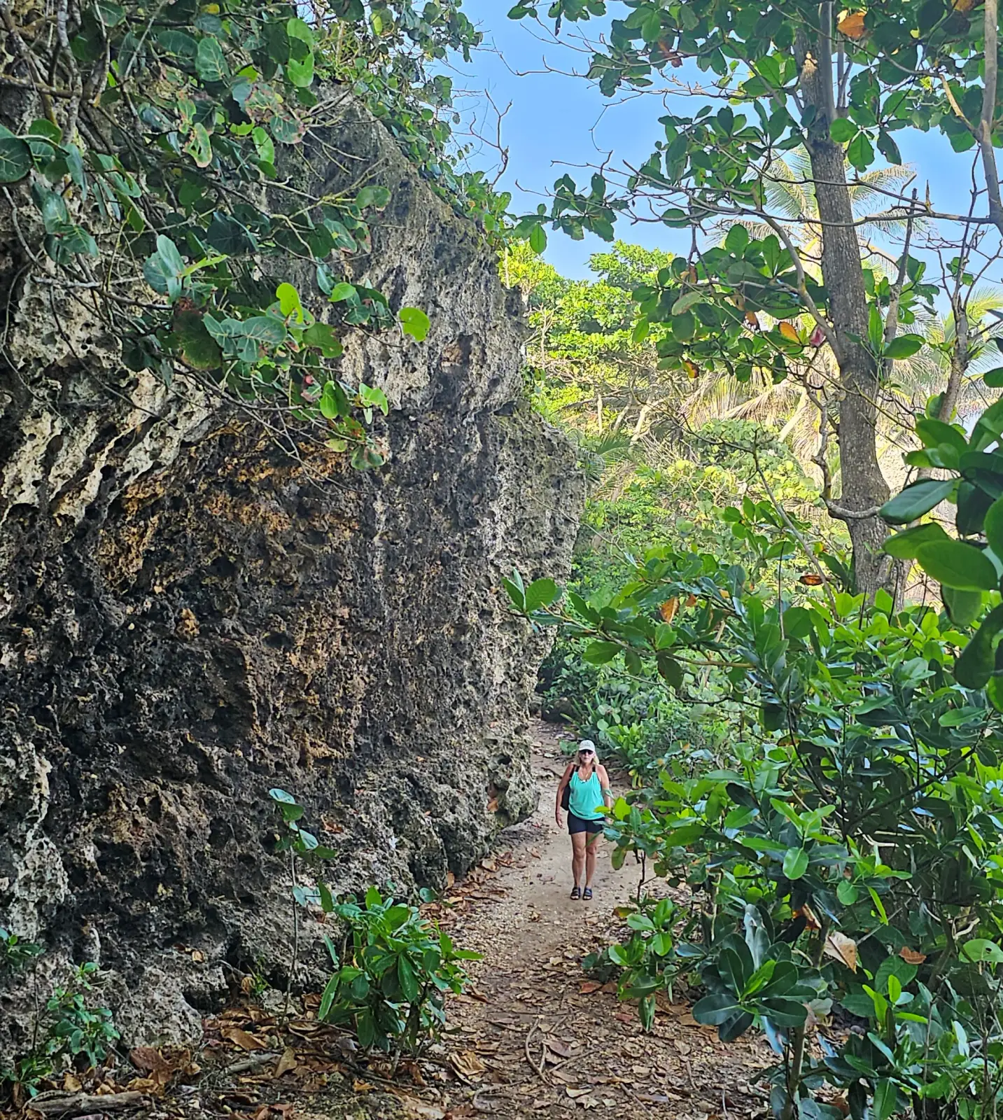 Trail along the cliff at Survival Beach