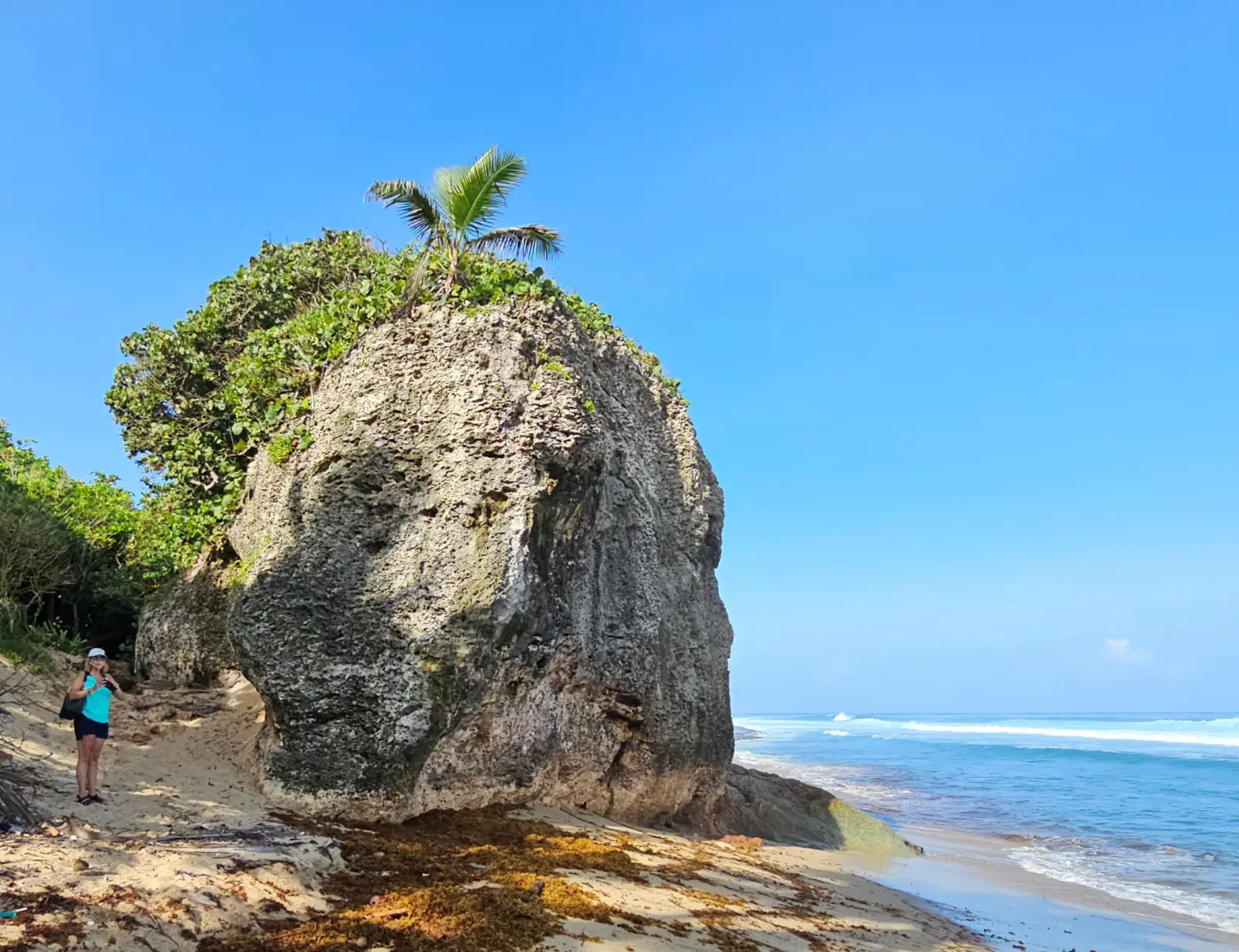 Large rock at Survival Beach