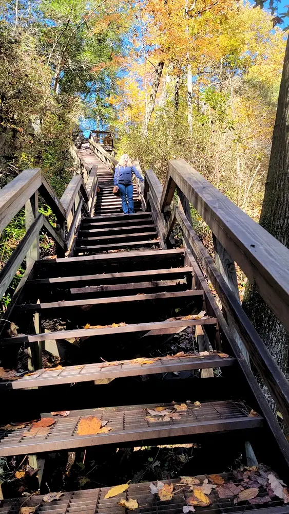Stairs down to the bottom of the Talluah Gorge and Oceana Falls
