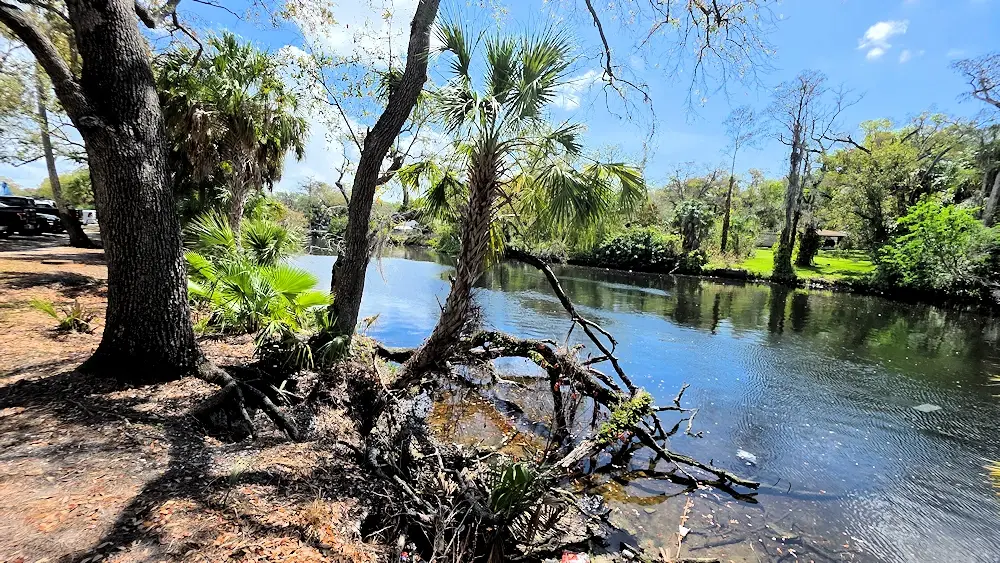 The Hillsborough at River Tower Park in Tampa