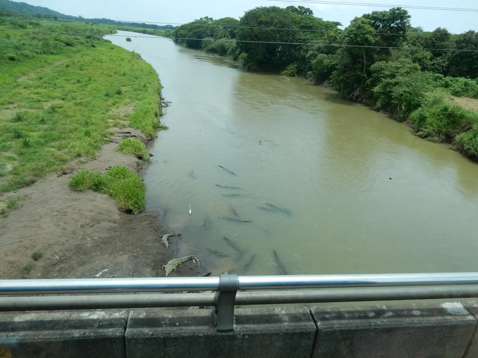 Tarcoles Bridge