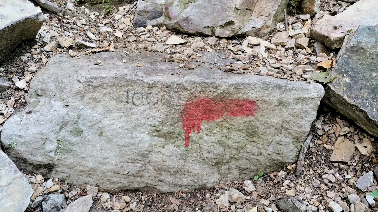 Step 1000 near the top of the trail. 43 more to go.