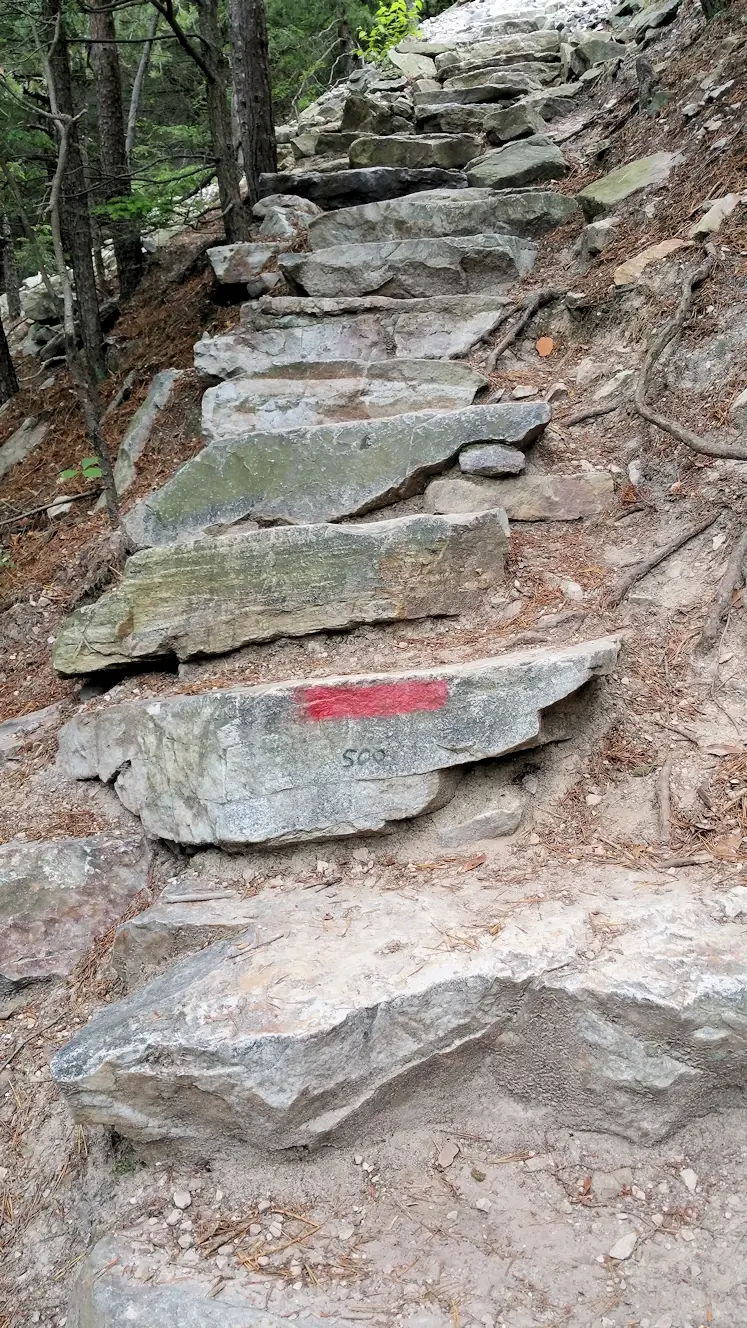 Step 500. Halfway to the top.