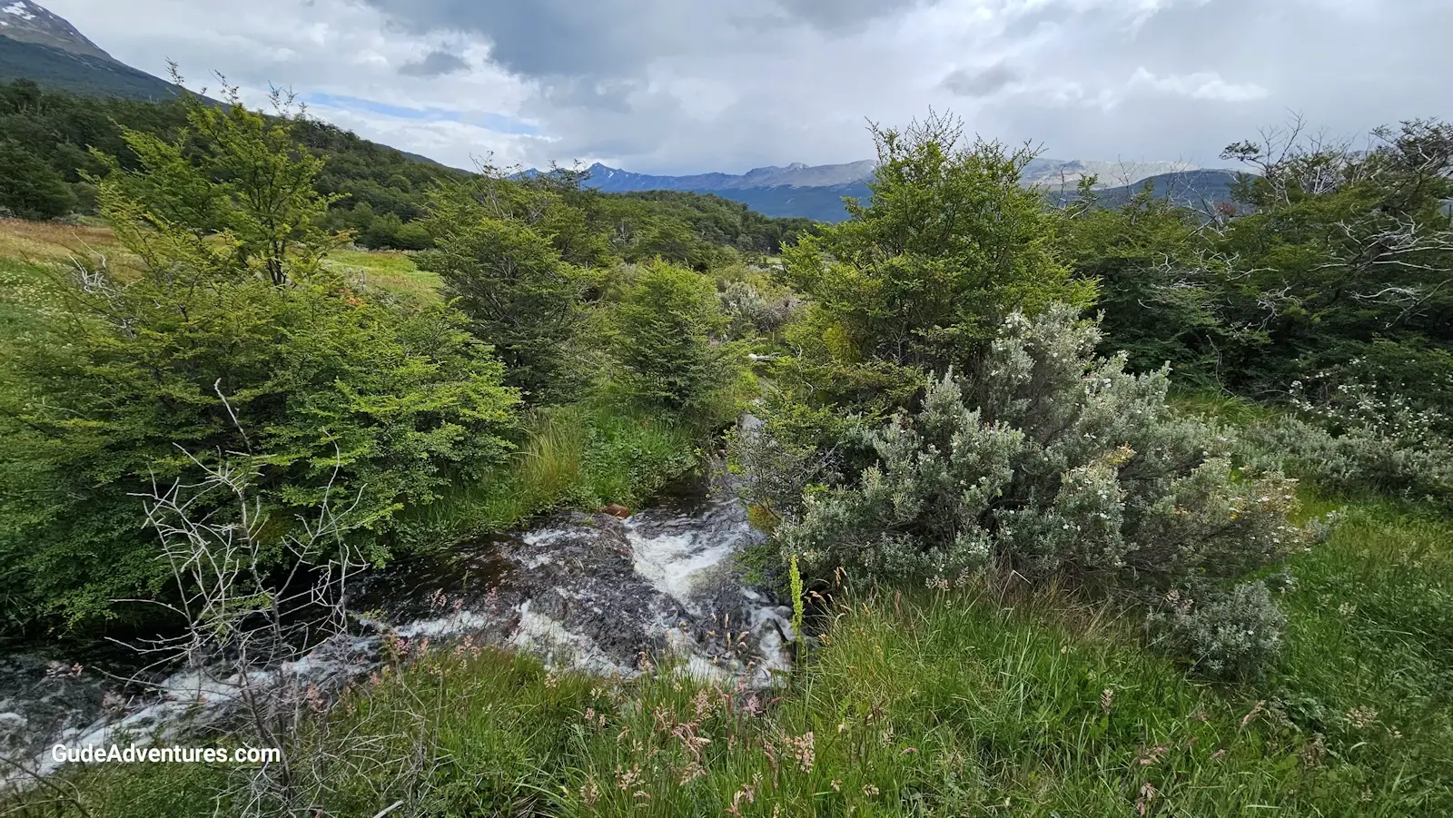 Small stream in Tierra del Fuego National Park.