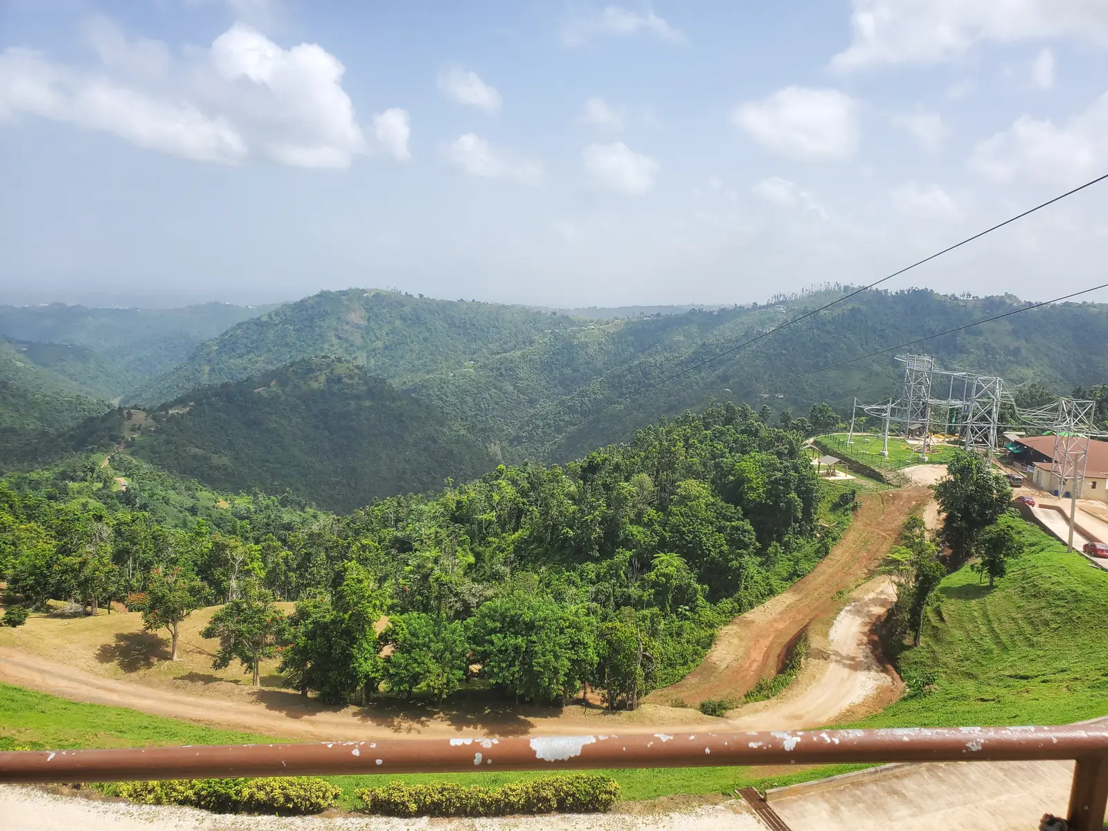 Toro Verde 