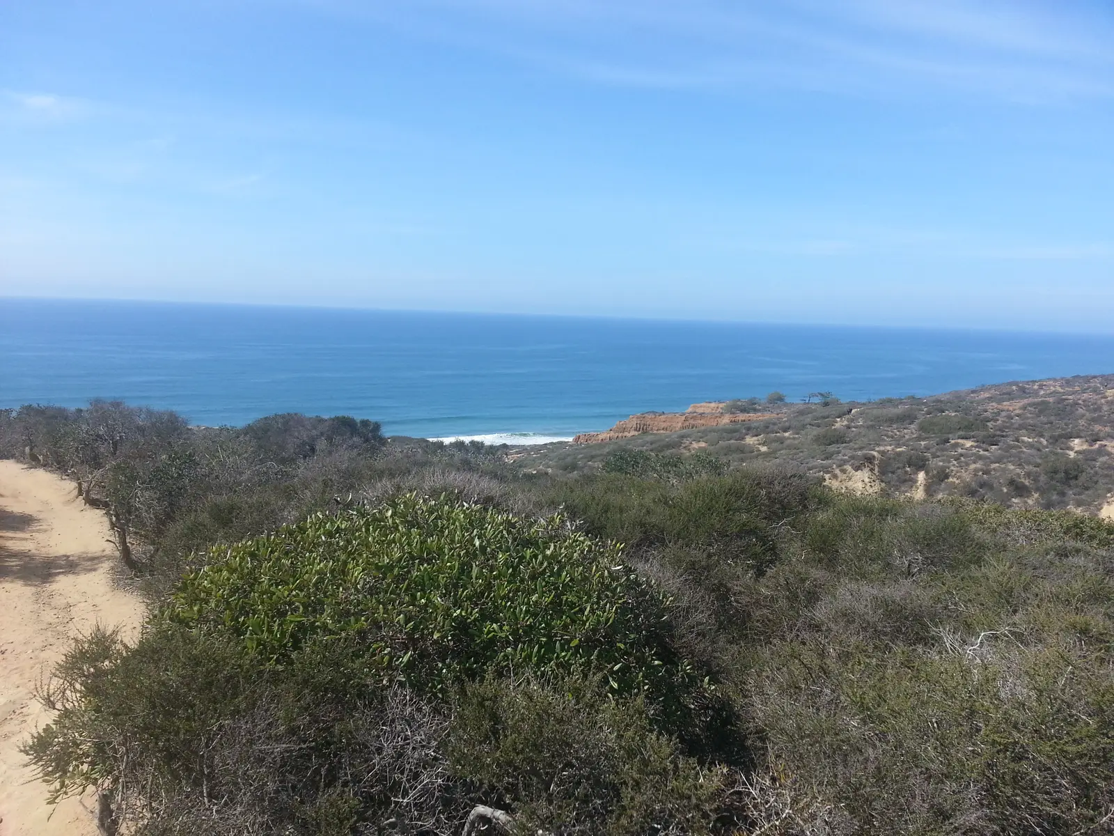 Torrey Pines State Natural Reserve