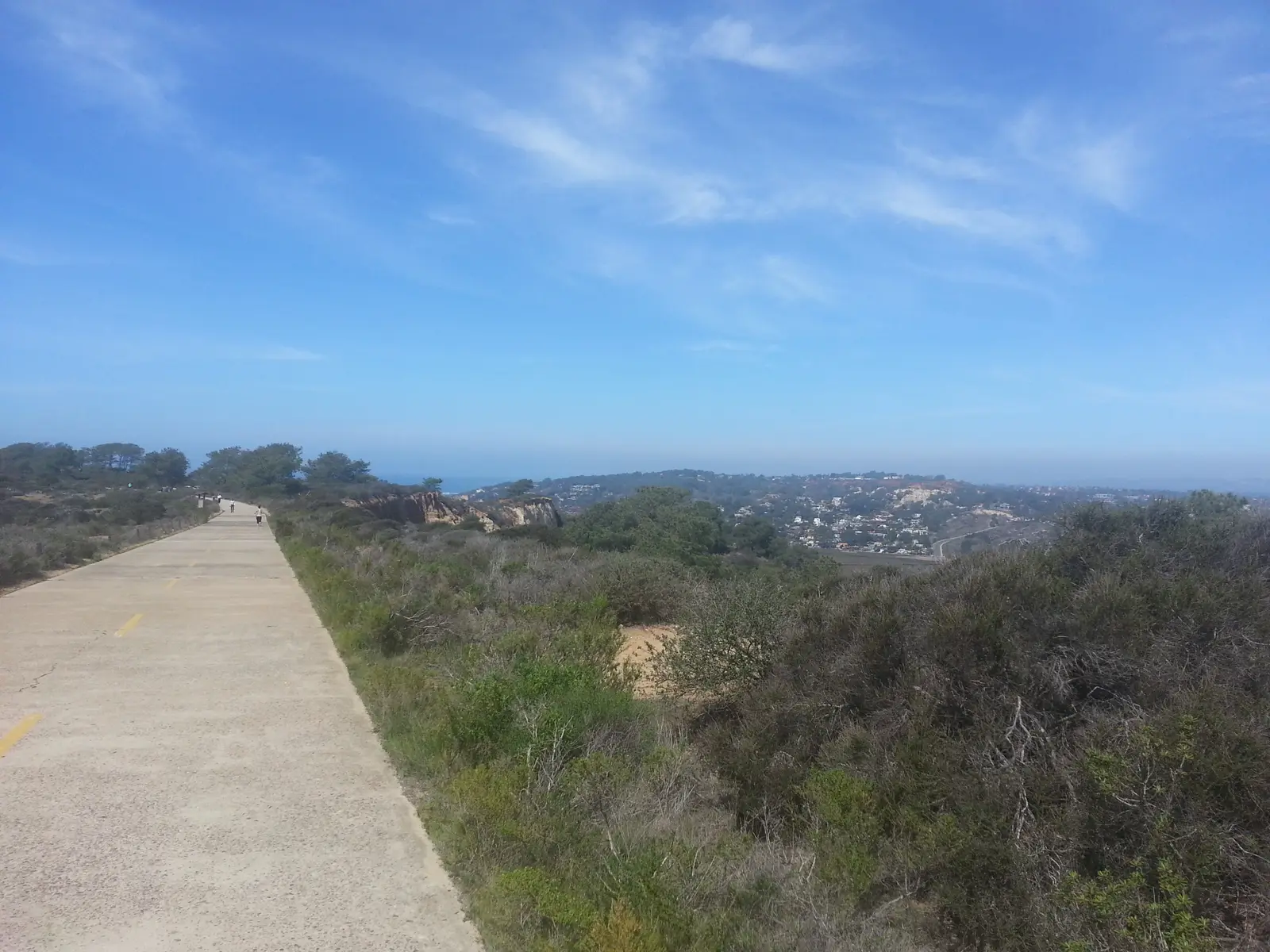 Torrey Pines State Natural Reserve