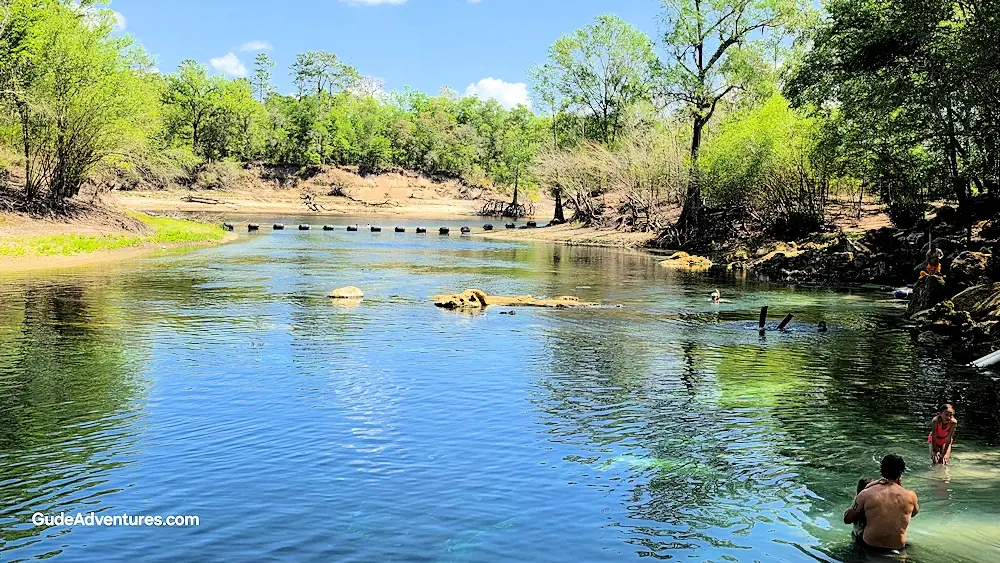 View of the stream out to the Suwannee River.