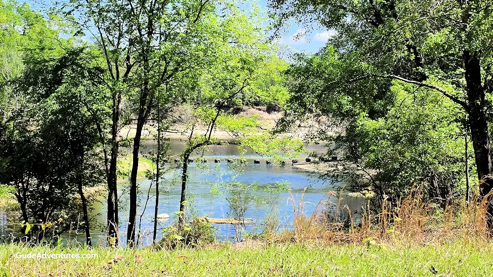 View of Troy Springs from above the spring.