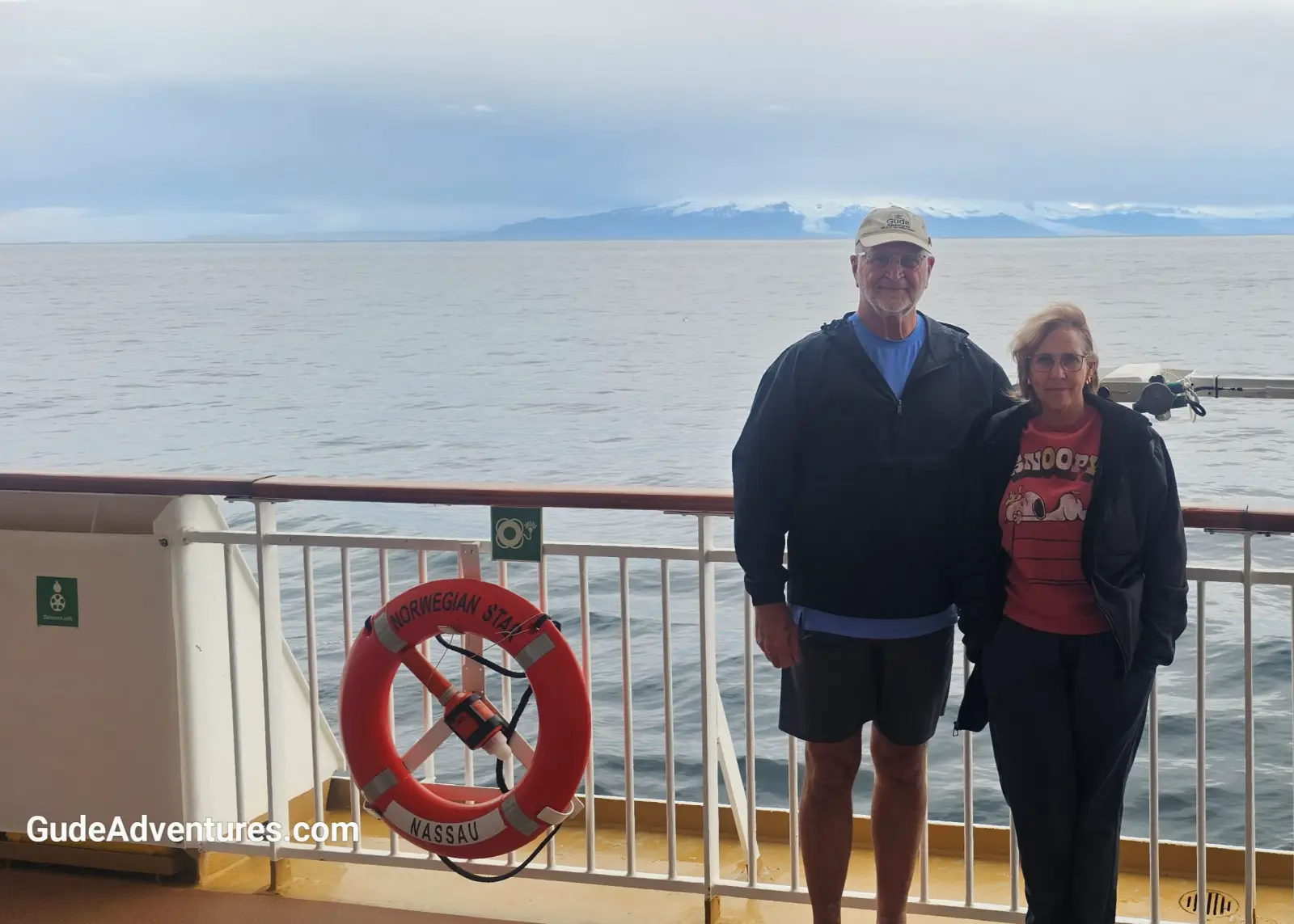 View of the glaciers from the ship.