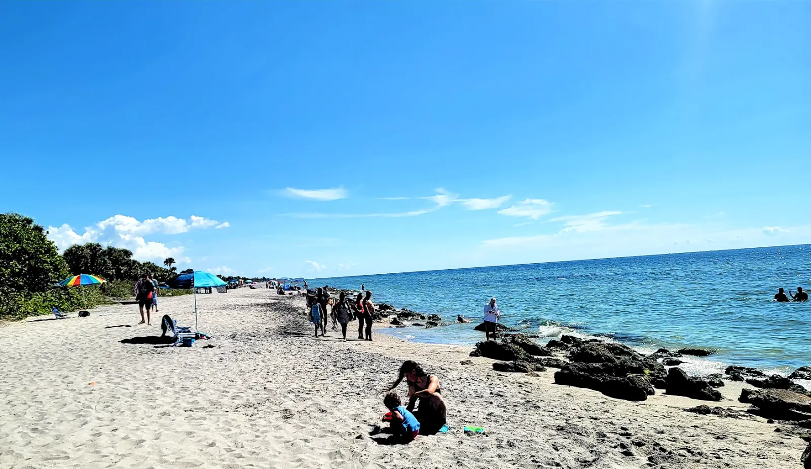 Beachgoers looking for sharks teeth at Caspersen Beach