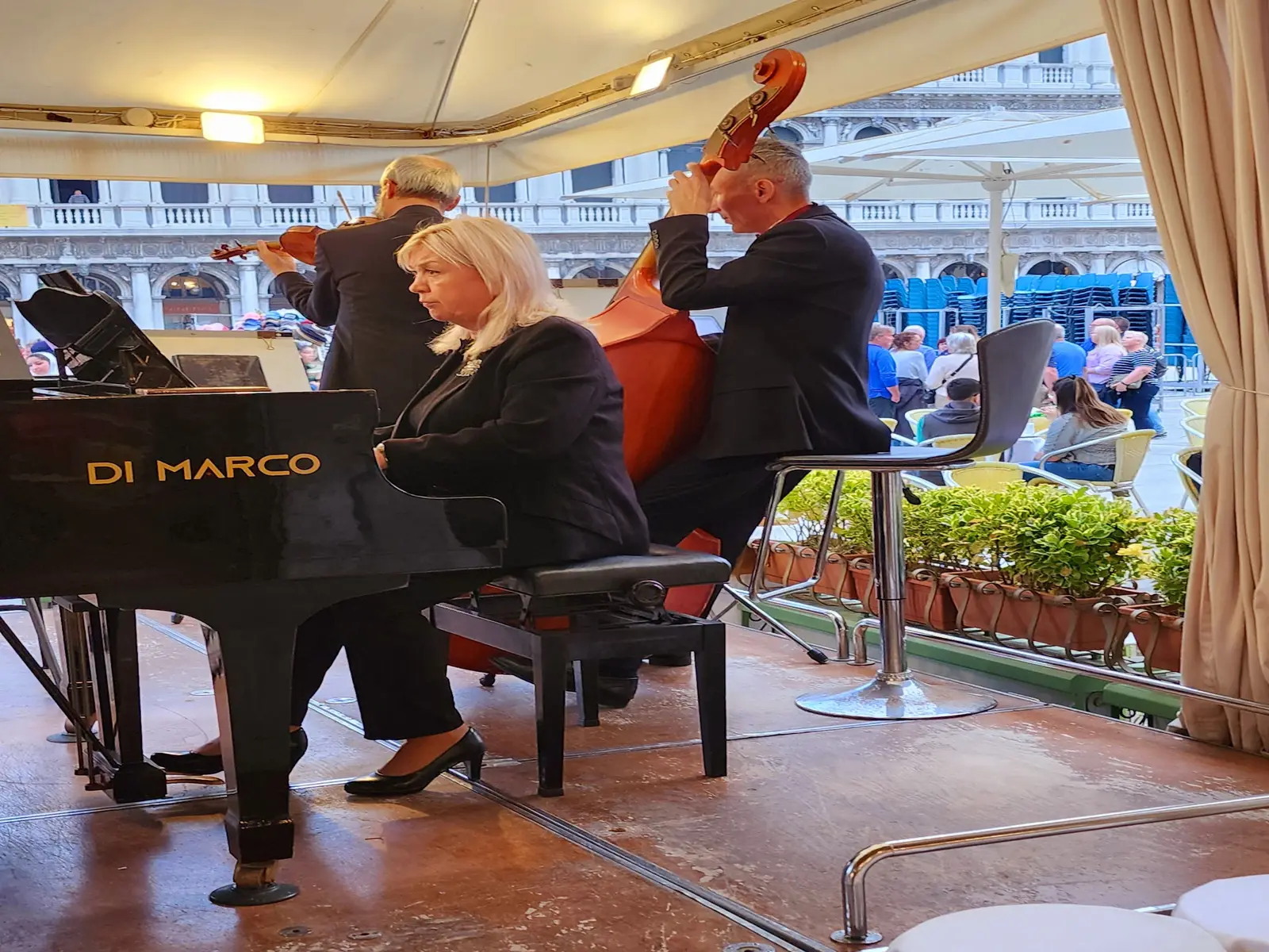 Music in San Marco Square