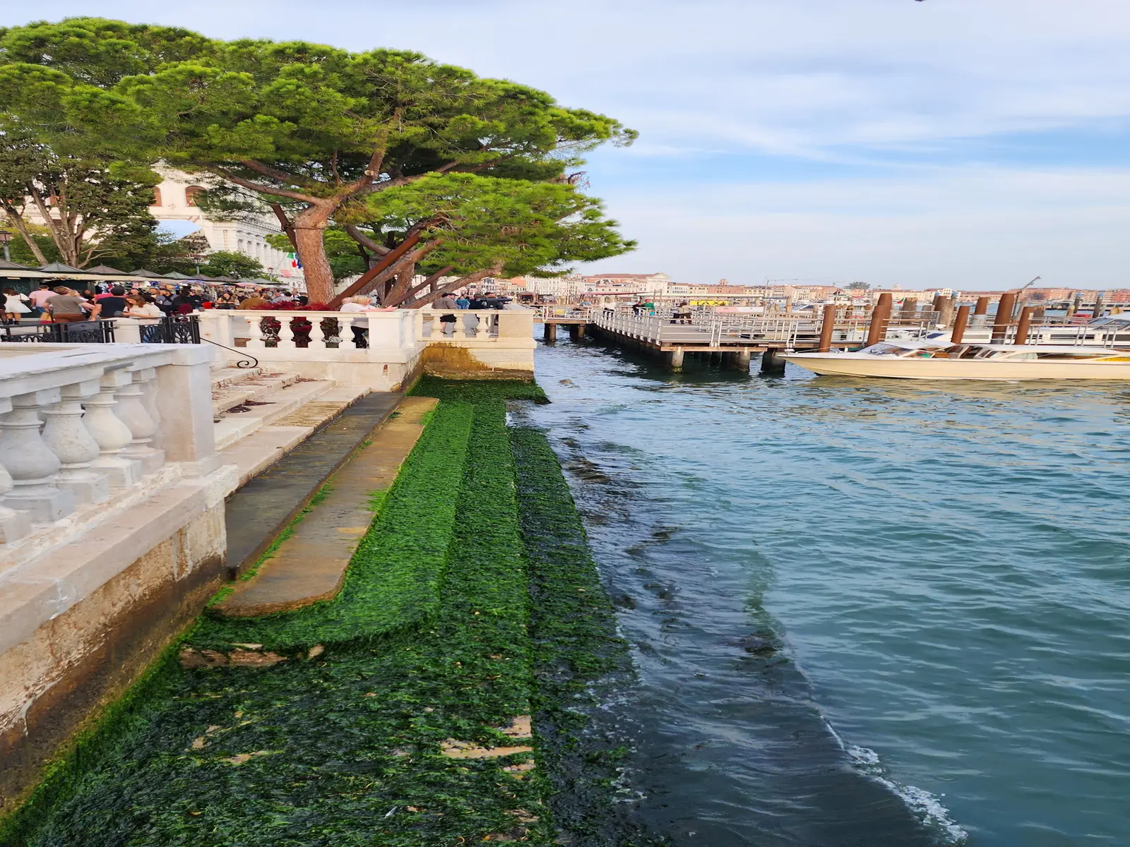 A dock in Venice at low tide
