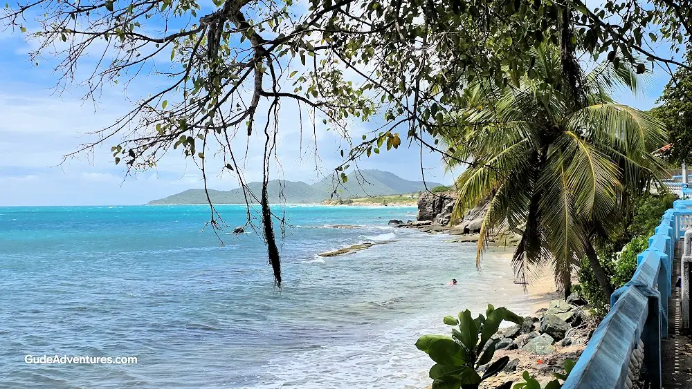 View from the boardwalk in Esperanza