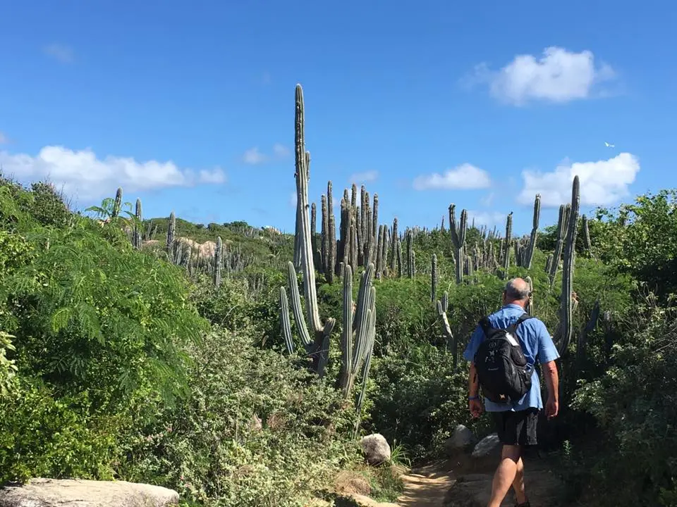 From Devils Bay, the trail continues up the hill and back to the drop off point.