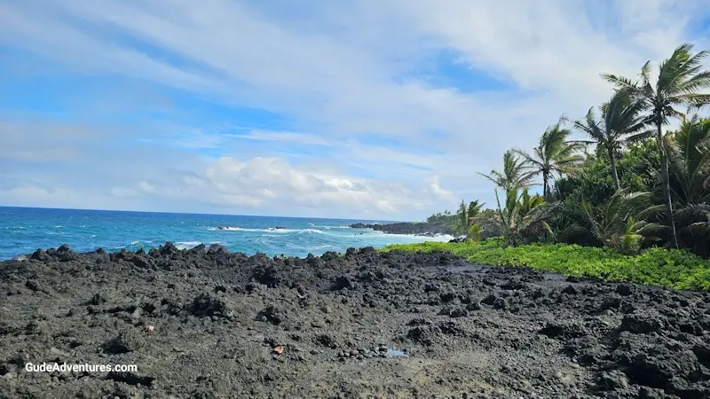 View to the blowholes