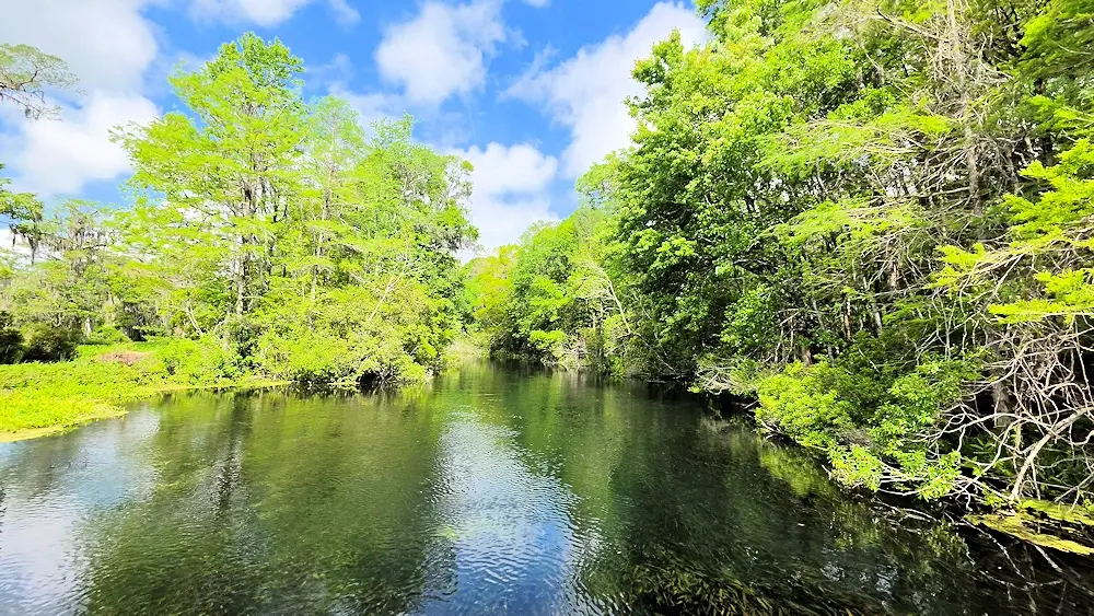 Filming location for the Creature from the Black Lagoon.