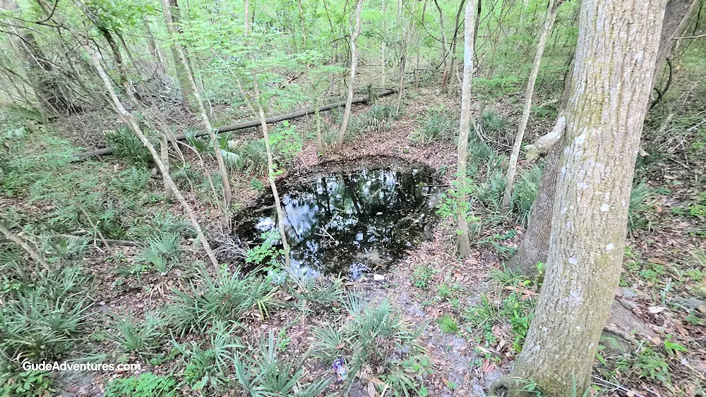 Sinkhole near the lodge.