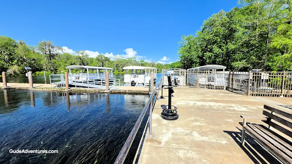 Tour boats at Wakulla Springs.
