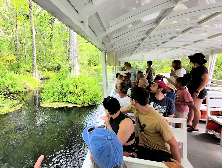 Viewing the wildlife along the river.