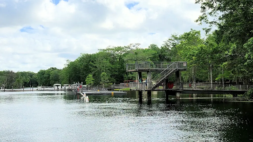Swimming area and diving platform at Wakulla Springs.