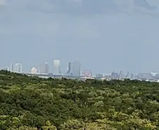 View of downtown St Petersburg from the observation tower at the Weedon Island Preserve
