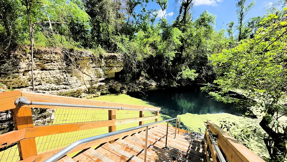 Stairway down into the Orange Grove Spring.