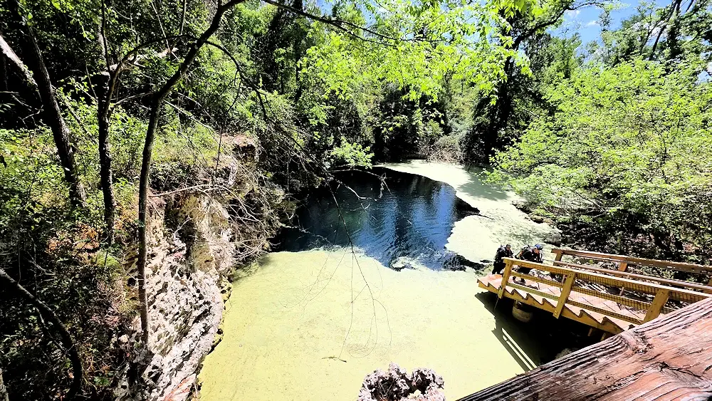 Orange Grove Spring  at Wes Skiles Peacock Springs State Park.