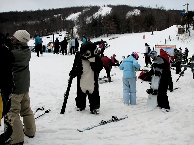 Whitetail mascot