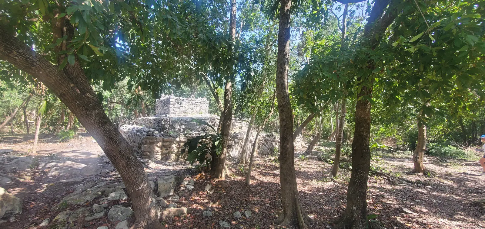 Groupo Eyf archeological ruins 