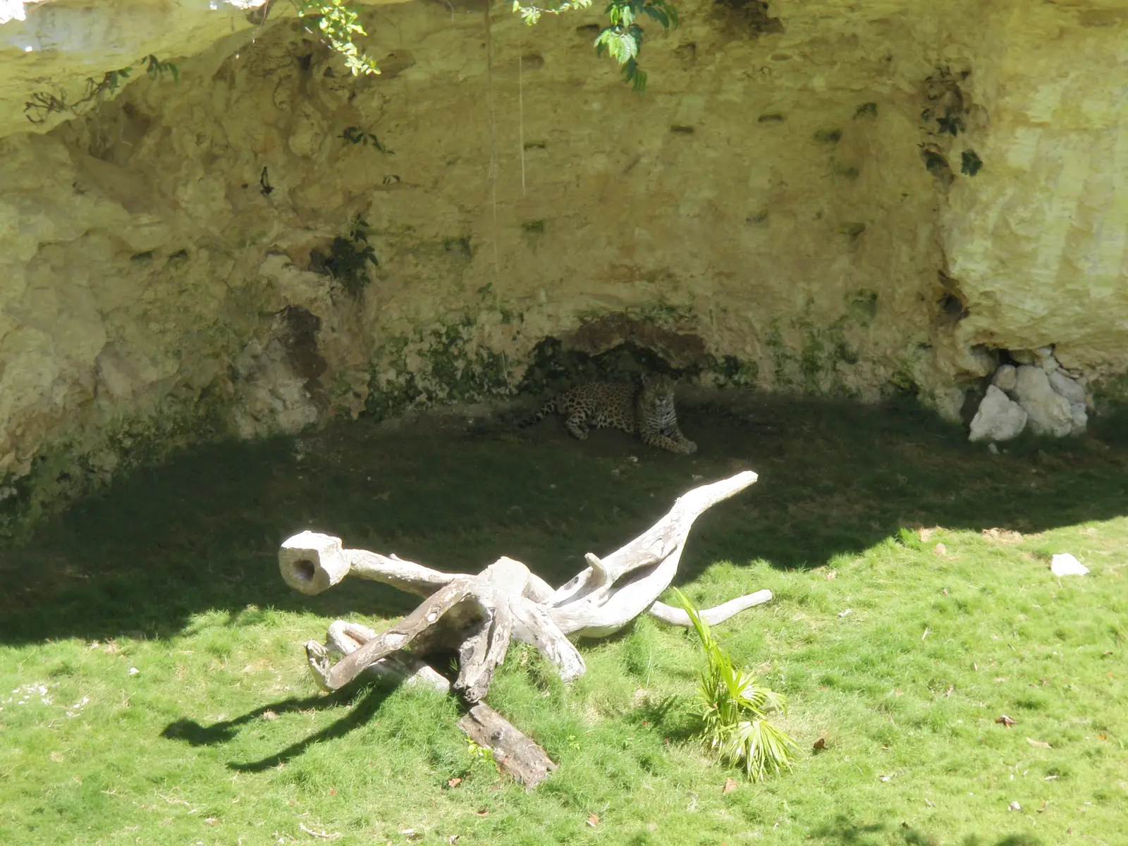 PA012300.JPG