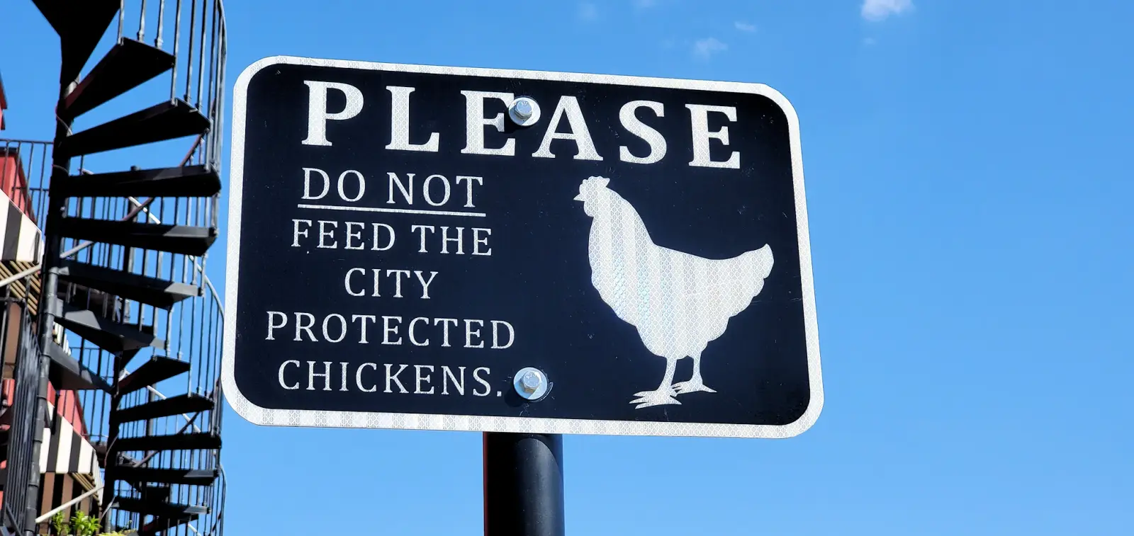 Do not feed the chickens sign in Ybor City