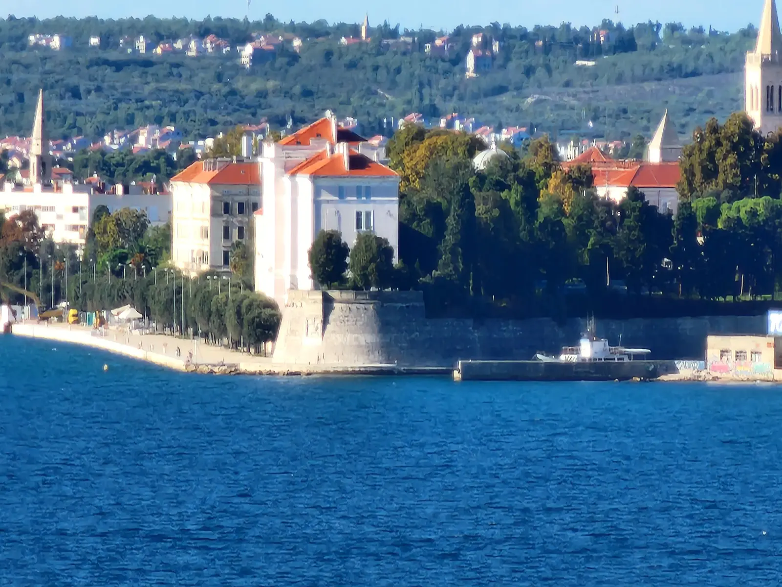 20221003_160931.jpg