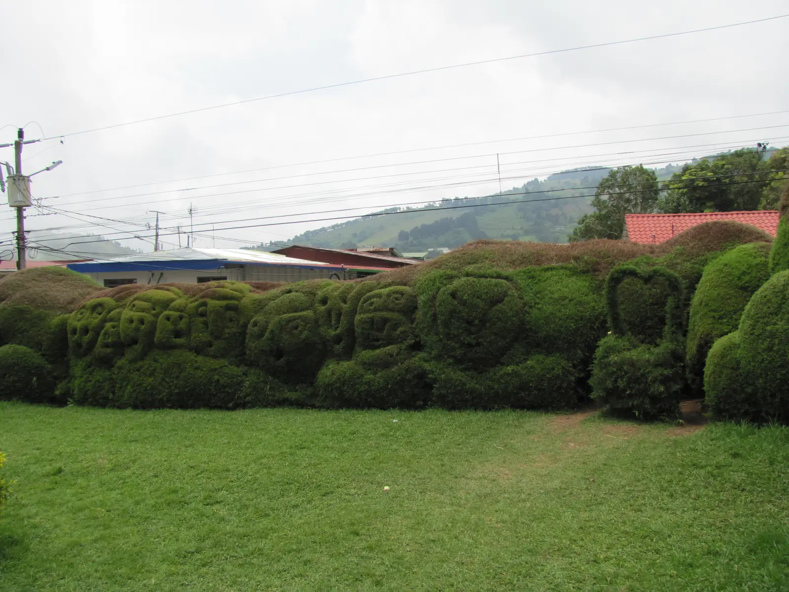 topiary gardens
