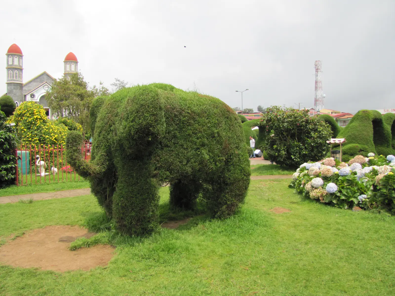 topiary gardens