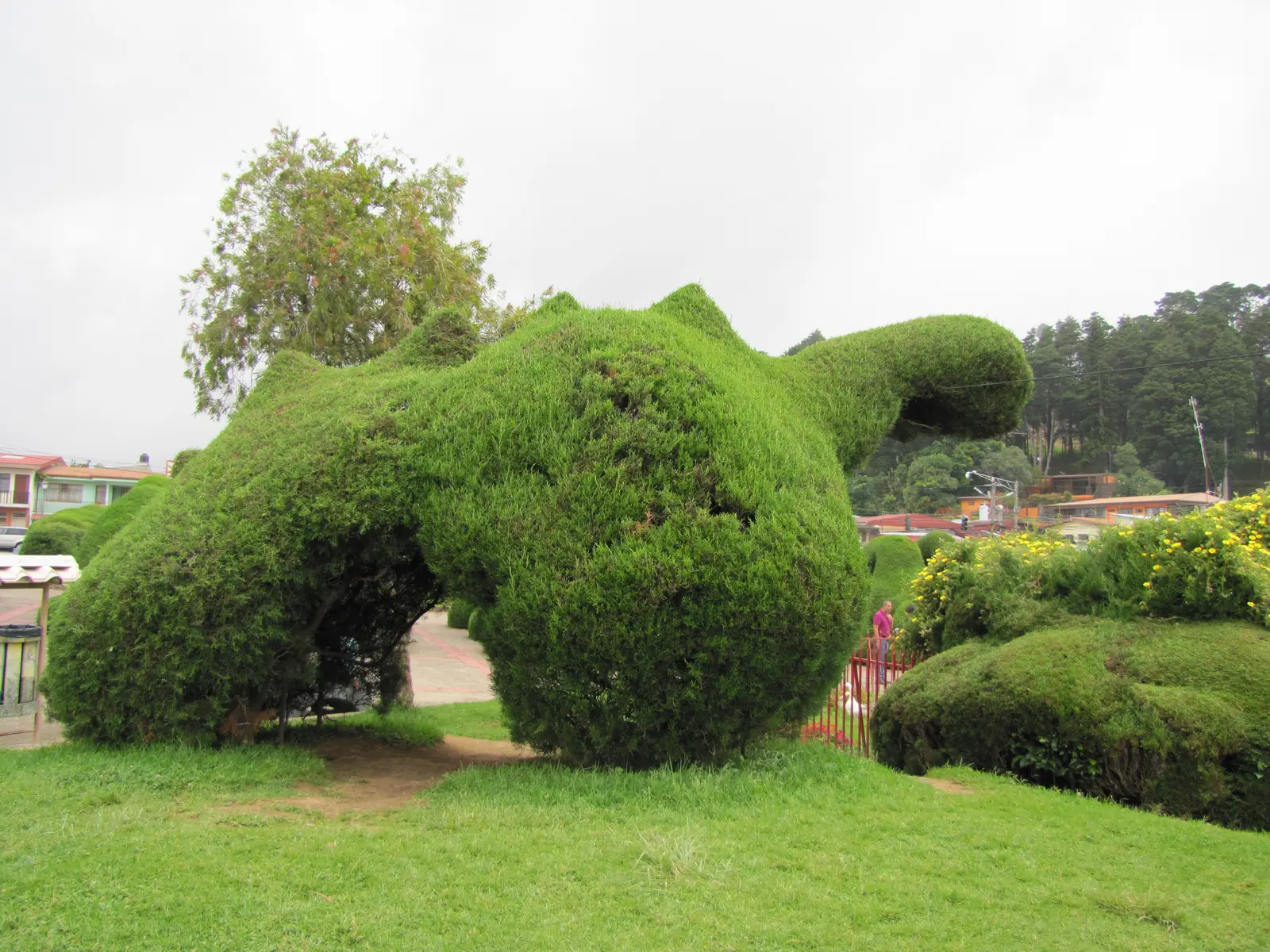 topiary gardens