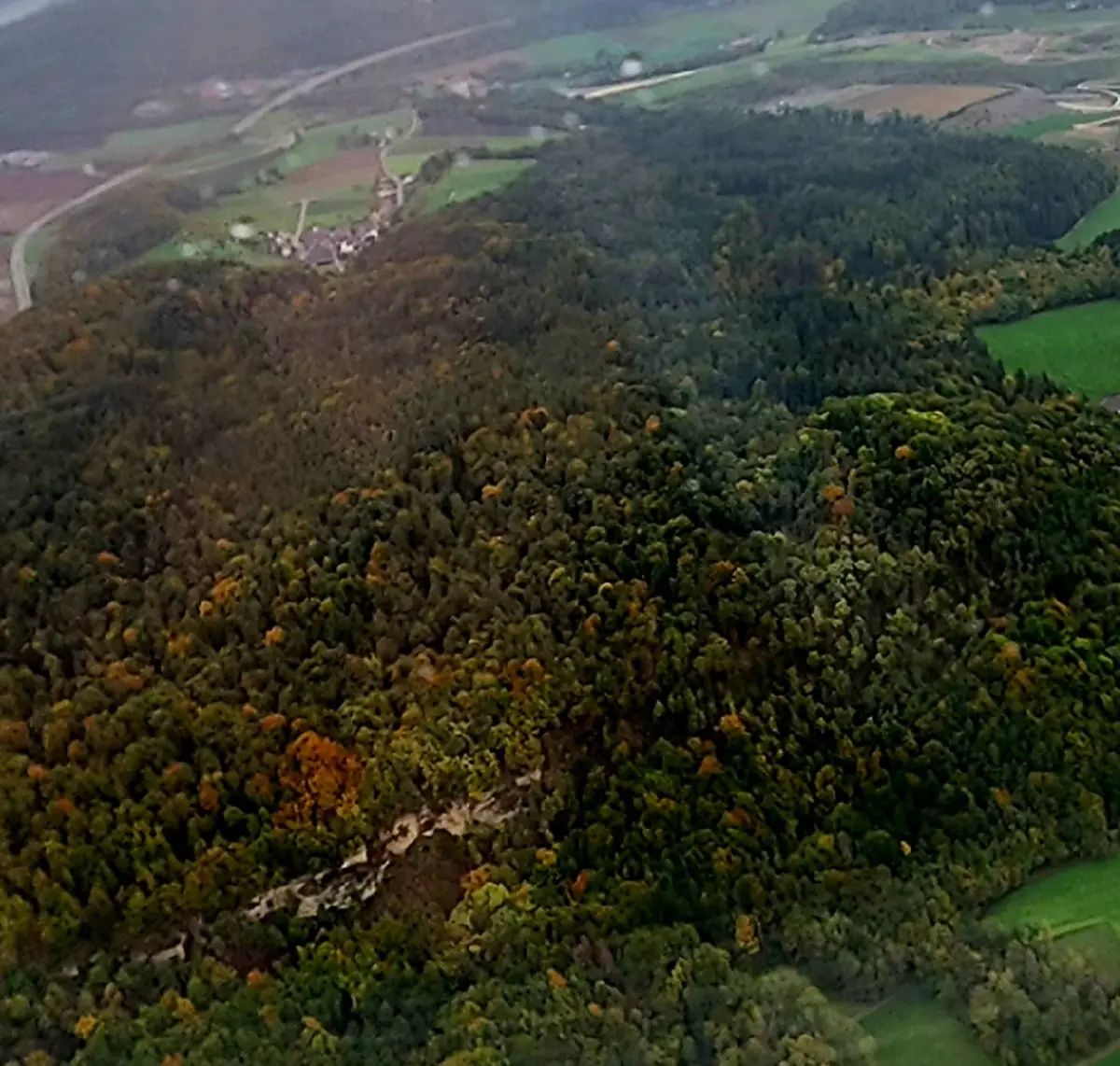 20221014_160910.jpg